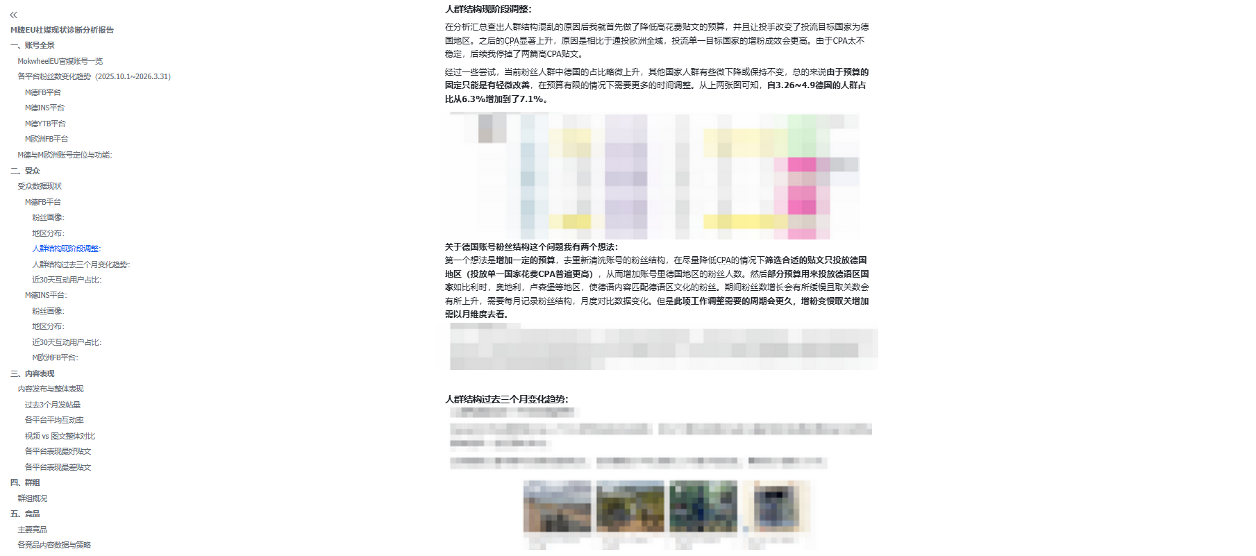 人群结构诊断报告的局部预览